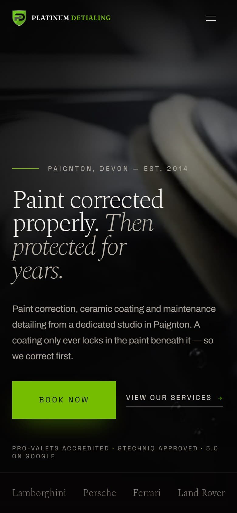 The Platinum Detailing homepage on a 390×844 phone screen.