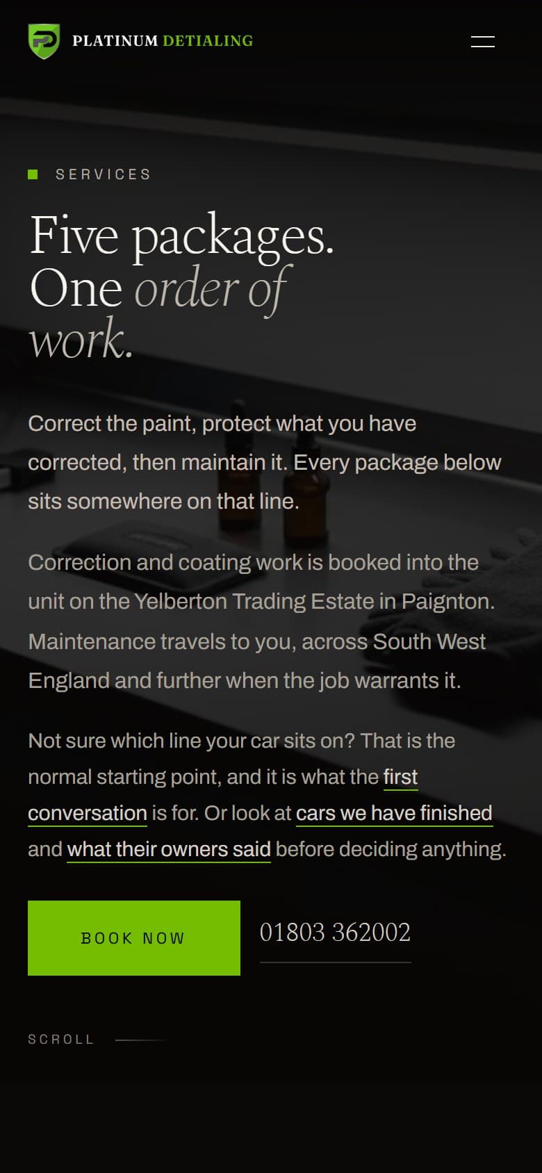 The Platinum Detailing services page on a 390×844 phone screen.